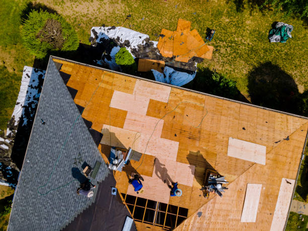 Best Metal Roofing Contractor  in Bawcomville, LA